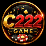 C222 Game