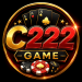 C222 Game