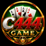 C444 Game